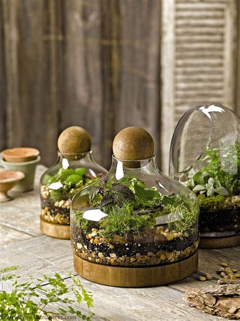 Glass Terrarium House: A Fun and Stylish Way to Bring Nature Indoors